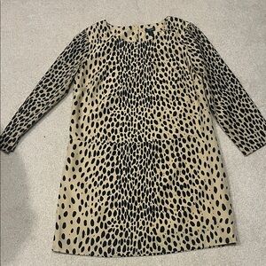 Jcrew dress